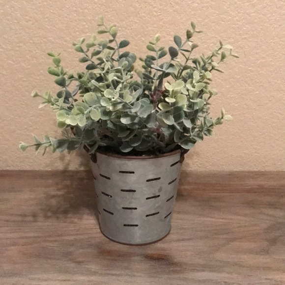Faux Succulent Decor!